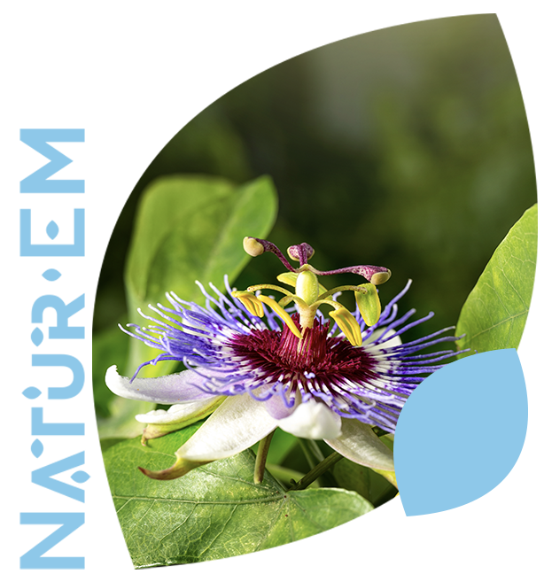Image Slider